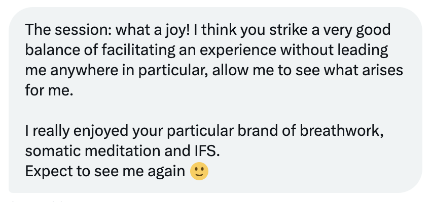 The session: what a joy! I think you strike a very good balance of facilitating an experience without leading me anywhere in particular, allow me to see what arises for me. I really enjoyed your particular brand of breathwork, somatic meditation and IFS. Expect to see me again 🙂